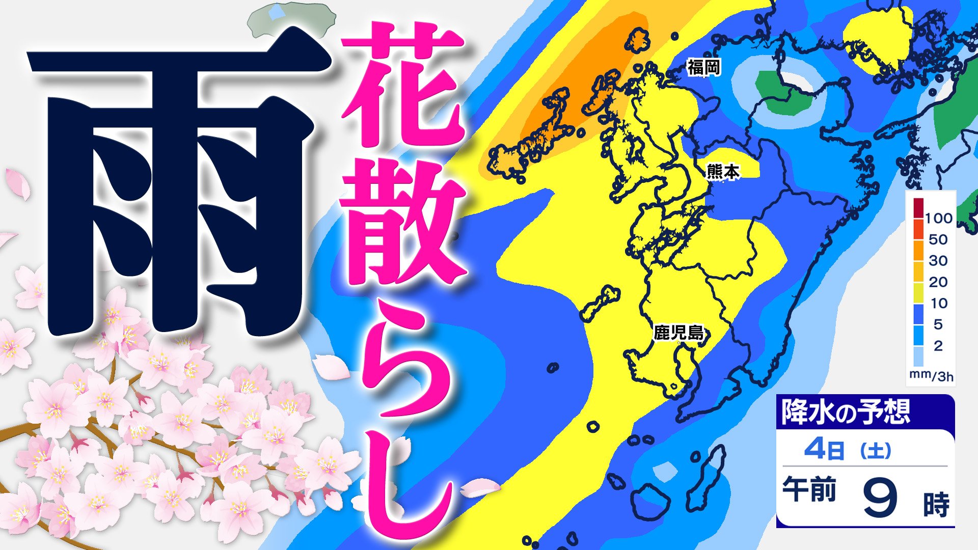 雨花ページ 雨や曇りの日こそ狙いめ！ アジサイの撮影テクニックと撮影スポット6選