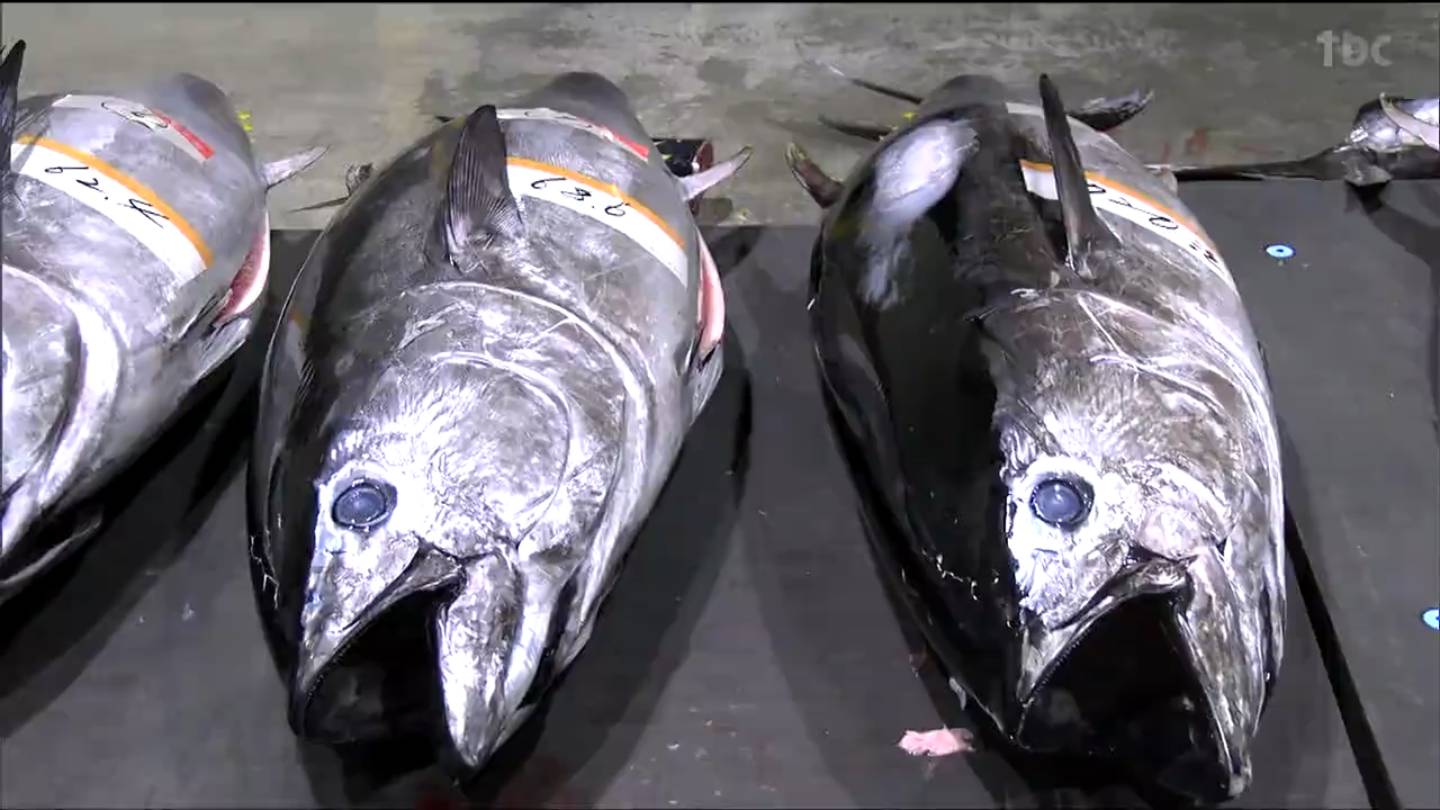 気仙沼市魚市場で初売り 2026年は水揚げ額200億円目指す 宮城 | 宮城の