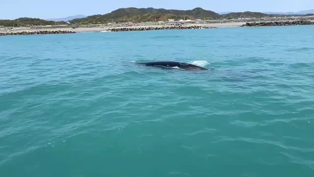 img_21f15429df1805b29617dc12a3