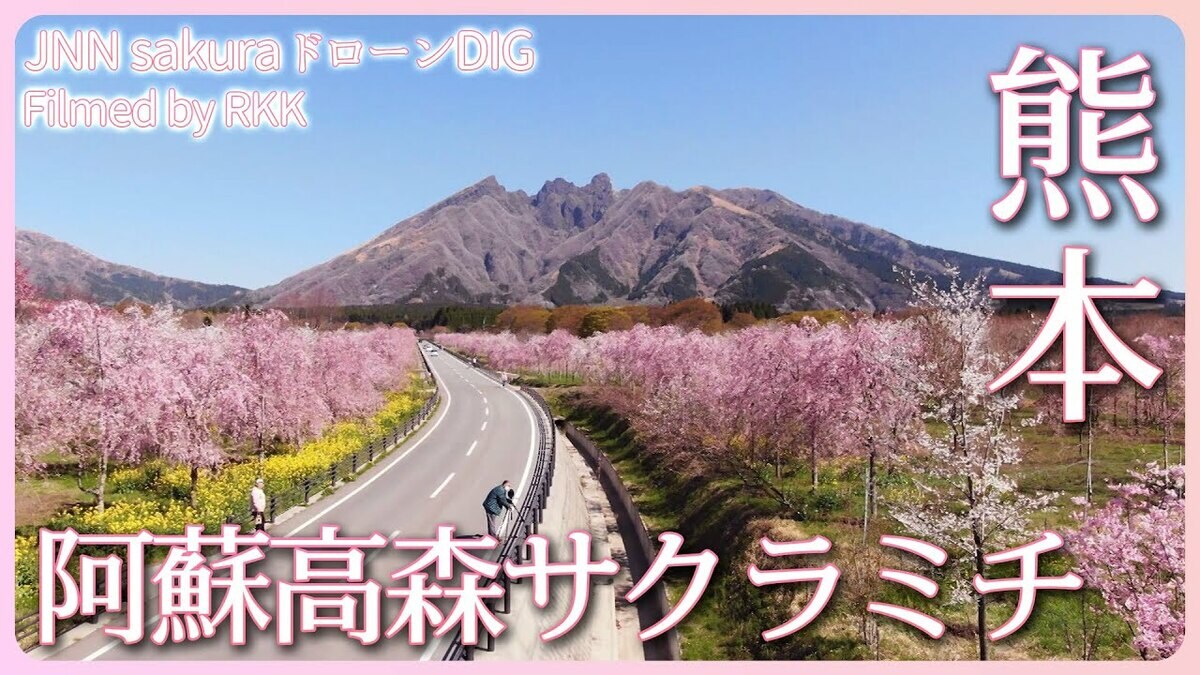 復興の道に咲く桜 阿蘇高森サクラミチ 熊本県 阿蘇市【JNN sakuraドローンDIG 2023】 | TBS NEWS DIG