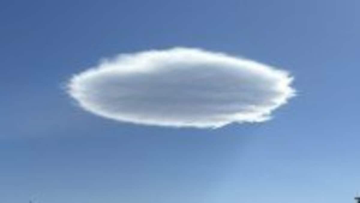 青空にぽっかり浮かぶ「円盤型」の雲 正体は？ | TBS NEWS DIG