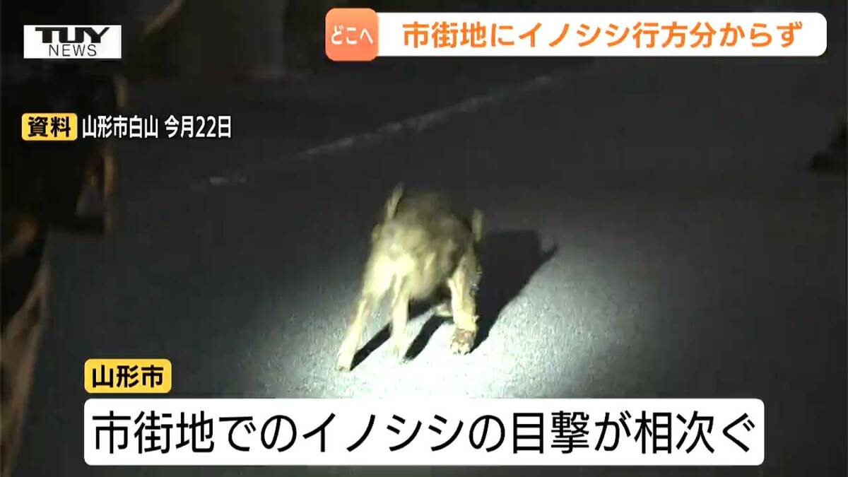 温泉 盗撮 gif