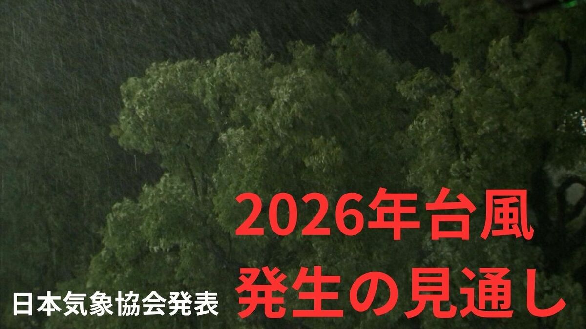「盆にかけ台風発生増加の可能性　危険な暑さや大雨などに注意を」　日本気象協会が台風の見通しを発表