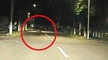【クマ出没】住宅街の道路を横断するクマ　走行する車の前を…体長約1メートル、橋の柵に足跡残し山へ帰る　北海道新ひだか町　|　北海道のニュース｜HBC北海道放送