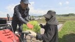 田植え始まる　コメ価格は徐々に値下がり　農産物直売所は「コメ離れという認識はない」　山梨・北杜市|TBS NEWS DIG