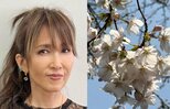 【 工藤静香 】 「人が傷ついて辛い時、無理に言葉を引き出すのではなく、言えるときまでそっと待つこと」「たとえ何も語らなくても、ただ寄り添い続けること」　ＳＮＳに綴る|TBS NEWS DIG