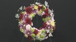 メリークリスマスじゃなく“クリスマム” 葬儀や仏壇へのお供えだけじゃない!「菊」を贈ってみませんか?日本一の産地の取り組み | 名古屋・愛知・岐阜・三重のニュース【CBC news】 | CBC web