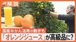 「オレンジジュース」が高級品に? 記録的な不作が影響…販売休止相次ぐ、国産みかん活用の動きも【Nスタ解説】|TBS NEWS DIG