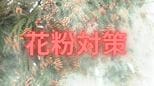花粉やPM2.5対策「マスクはPFEを確認」「室内は加湿して抑制」「換気時は窓の開け方を工夫」環境衛生の専門家が伝授【後編】|TBS NEWS DIG