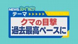 去年同時期から倍増クマの目撃　過去最多の去年は160件⇒今年は317件（８月末）　人身被害発生で山口県がクマ出没警報発令|TBS NEWS DIG