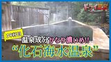 【動画配信中】温泉成分かなり濃いめで「しょっぺぇ!」珍しいお湯“化石海水温泉”の宿【青森の温泉・銭湯へドライ風呂39軒目】 | 青森のニュース│ATV NEWS│青森テレビ