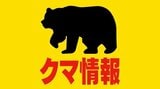 【クマ出没】公園の遊歩道から20m先にクマ1頭 北海道苫小牧市・緑ヶ丘公園の金太郎の池周辺 公園は閉鎖|TBS NEWS DIG