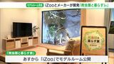 「家の中に動物園」飼育スペースに強化ガラス！空調も完備　“爬虫類と暮らす家”「iZoo」で一般公開へ＝静岡・河津町|TBS NEWS DIG