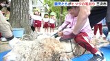 「命の尊さを感じてほしい！」広島市三次市の幼稚園でヒツジの毛刈り|TBS NEWS DIG