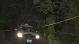 90代の男性が住宅で死亡 クマに襲われたか 秋田・大仙市|TBS NEWS DIG