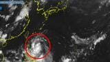 【台風情報】最大瞬間風速 23 m/s「台風のたまご」、24日夜までに台風に発達へ【予想進路は？】|TBS NEWS DIG
