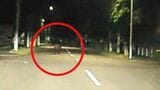 【クマ出没】住宅街の道路を横断するクマ 走行する車の前を…体長約1メートル、橋の柵に足跡残し山へ帰る 北海道新ひだか町|TBS NEWS DIG