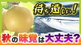 食卓から旬が消える!?猛暑の影響は「秋の味覚」にも...軒並み高騰予想 気候や生産品の変化で「この季節にはこれを食べる」文化が消失か...食生活の変化に消費者ができることは?|TBS NEWS DIG