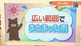 25日(水)にかけて広い範囲でまとまった雨 本降りの時間も 愛媛 | 愛媛のニュース - Nスタえひめ|あいテレビは6チャンネル
