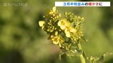 21日の予想最高気温は11℃で3月中旬並みの暖かさに　高気圧に広く覆われ晴れる予想　富山の天気　|　富山のニュース｜天気・防災｜チューリップテレビ