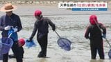 “浅瀬で魚をキャッチ!" 小学生が体験した伝統漁法 熊本・天草 | 熊本のニュース|RKK NEWS|RKK熊本放送
