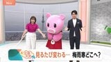 【6月23日 関東の天気】見るたび変わる…梅雨寒どこへ?|TBS NEWS DIG