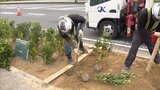 ビッグモーター前の街路樹が枯れた問題　小倉南店で街路樹復旧工事が完了　イチョウ・桜・低木など約７４０本を植樹　|　福岡のニュース｜RKB NEWS｜RKB毎日放送
