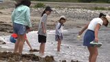 吉浜海水浴場は東日本大震災のがれきで7年ぶりの海水浴 大船渡市で3つの海水浴場が一斉に海開き|TBS NEWS DIG