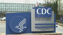 鳥インフルエンザ　全米初の死者を確認　ルイジアナ州| TBS CROSS DIG with Bloomberg