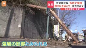 視界をふさぐ砂煙に倒木…13日は各地で強風、影響広がる|TBS NEWS DIG