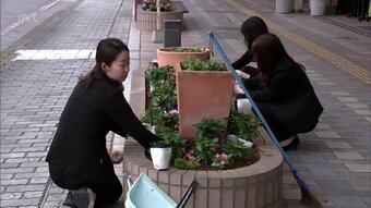 中心市街地を花で彩ろう　宮崎市で２００人の市民が花壇に花の植え付け　|　MRTニュース ｜ ＭＲＴ宮崎放送