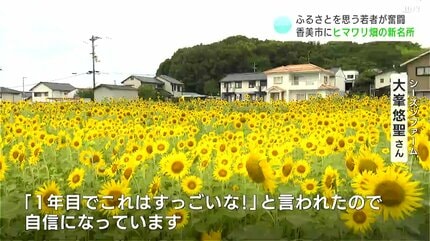 香美市に人を呼びたい」ふるさとを思う若者が奮闘 ヒマワリ畑の新たな