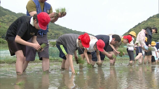 「楽しい、ぬるぬるする」小学生が手作業で田植えを体験！　収穫したらおにぎりに|TBS NEWS DIG