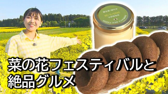 90年の歴史を紡ぐ黄色い絨毯!青森・横浜町『菜の花フェスティバル』の楽しみ方と絶品グルメ 幸せフォトスポットとは?|TBS NEWS DIG