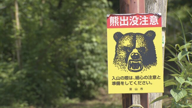 “近くでまだ2頭いるよ”の目撃情報も…山中でイノシシ檻のクマを駆除、出没情報相次ぐ【富山】|TBS NEWS DIG