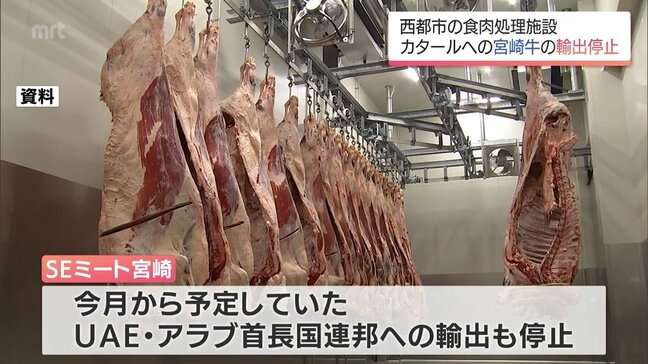 中東情勢が緊迫化の影響　「ハラール認証」対応の宮崎牛　中東・カタールへの輸出がストップ|TBS NEWS DIG