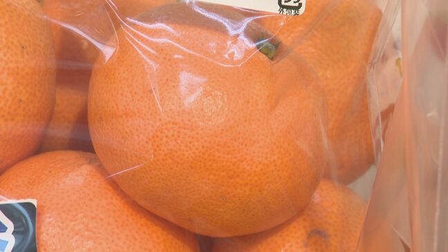 冬の定番「ミカン」が高値に…1ケースで4000円高い!?　夏に大量発生の虫が原因　野菜の高値も続く…キャベツは平年比3.3倍　小玉でも高く|TBS NEWS DIG