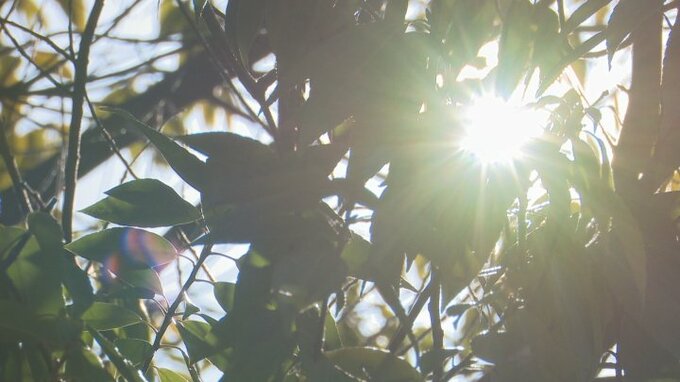 春本番の陽気　甲府20.２度　今年初の20度超え　各地で4月中旬の暖かさ　山梨　|　山梨のニュース | ＵＴＹテレビ山梨