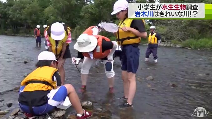 カワゲラ類やヘビトンボなど多数採集 岩木川の水質判断へ児童が水生生物を調査 青森県弘前市|TBS NEWS DIG