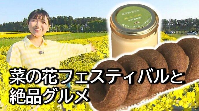 90年の歴史を紡ぐ黄色い絨毯！青森・横浜町『菜の花フェスティバル』の楽しみ方と絶品グルメ　幸せフォトスポットとは？|TBS NEWS DIG