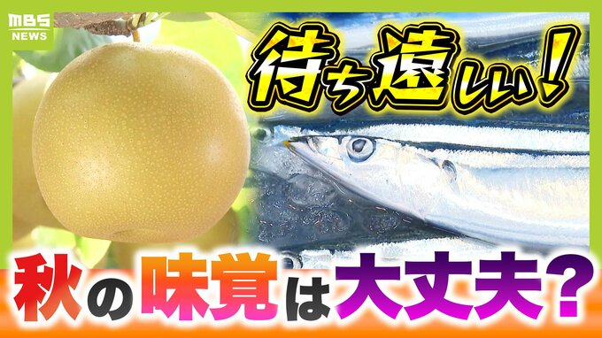 食卓から旬が消える!?猛暑の影響は「秋の味覚」にも...軒並み高騰予想 気候や生産品の変化で「この季節にはこれを食べる」文化が消失か...食生活の変化に消費者ができることは?|TBS NEWS DIG