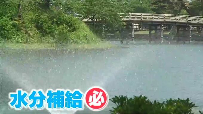 高田では、もう30℃超！『熱中症』?!と思ったら →「保冷剤を当てる場所」がポイント　新潟県内も18日は“真夏日”の予想|TBS NEWS DIG