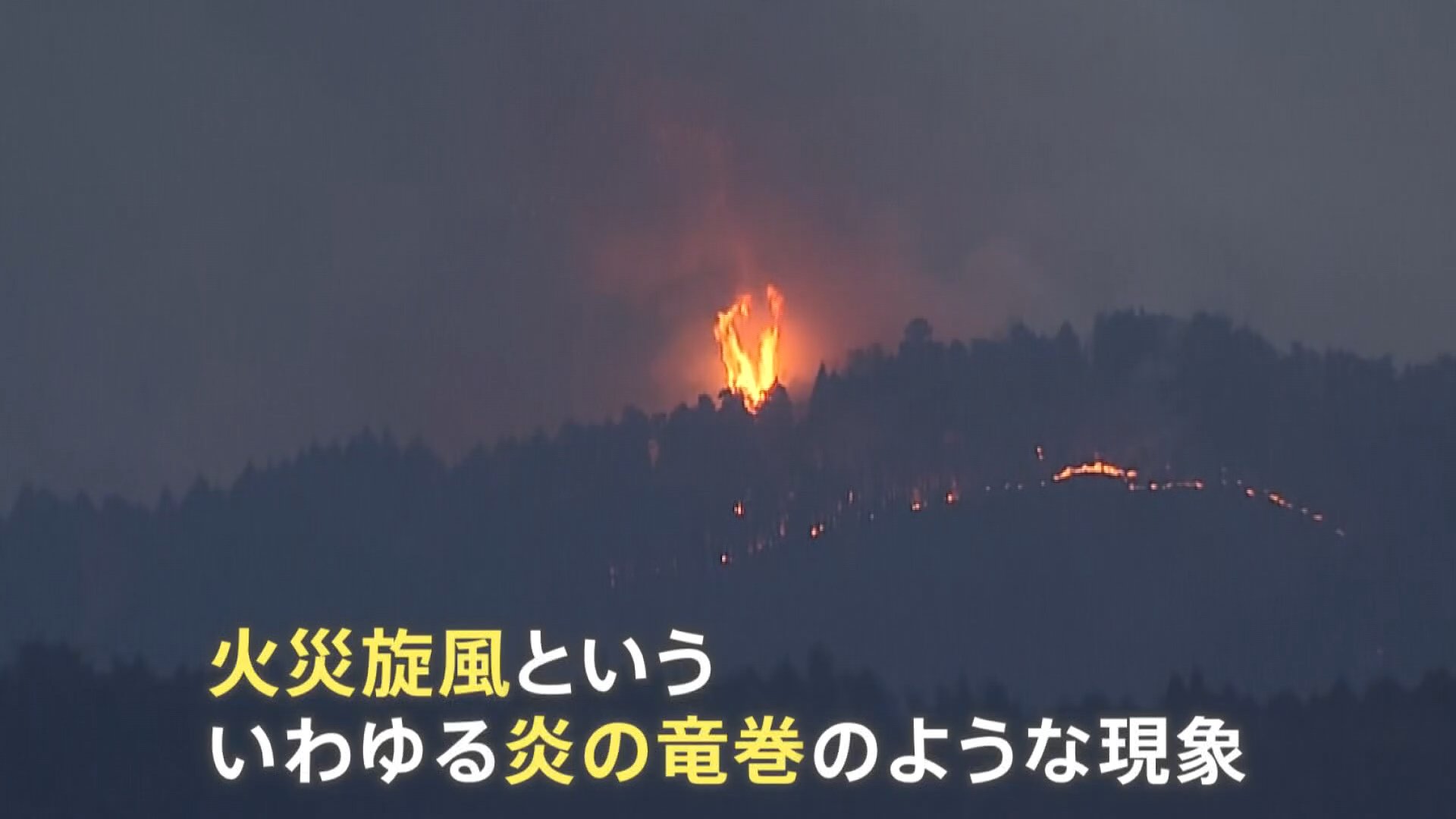 img_2249530b8a17d48a9cd3b09460