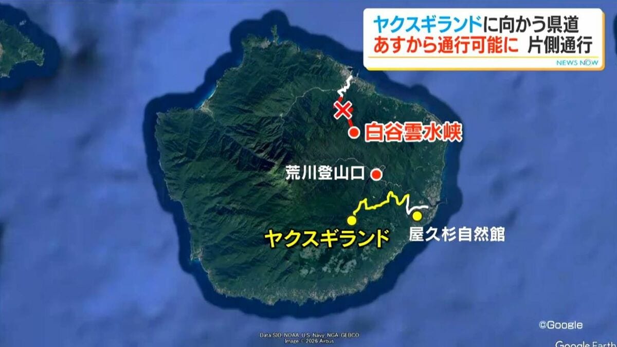 屋久島県道一部あす16日9時から通行可能に　ヤクスギランドも開園