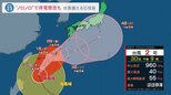 ノロノロ台風2号沖縄接近へ　台風からマンゴー守る“改造”ビニールハウスとは？ホームセンターには開店直後から対策グッズを買い求める客も【news23】|TBS NEWS DIG
