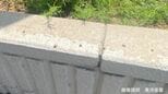 コンクリートに点々と…「小さいけれど臭い」マルカメムシ「その生態は？」【前編】　|　岡山・香川のニュース | 天気 | RSK山陽放送