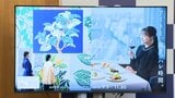岡山県とJRなどが連携する観光キャンペーン「おかやまハレいろキャンペーン2026」　9月にJR大阪駅でイベント|TBS NEWS DIG
