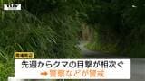 観光地・山寺周辺で先週からクマの目撃相次ぐ けさも道路上に出没 去年と比べ県内市街地での目撃も増加(山形) | 山形のニュース│TUYテレビユー山形