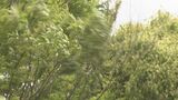 九州北部地方は暴風に警戒を気象台が発表（山口県、福岡県、大分県、佐賀県、熊本県、長崎県）　|　山口のニュース・天気・防災｜tys NEWS｜ｔｙｓテレビ山口