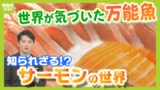 世界が気づいた！サーモンの“万能性”　円安などの影響もあり輸入品は値上がり...そんな中で日本は『ご当地サーモン戦国時代』に　全国１００か所以上で養殖|TBS NEWS DIG
